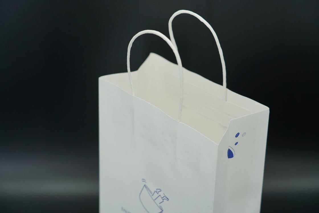 Versatile Premium Custom Printed Paper Bags Biodegradable With Twisted Handles